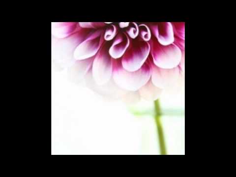 True Purity - Leslie Ludy