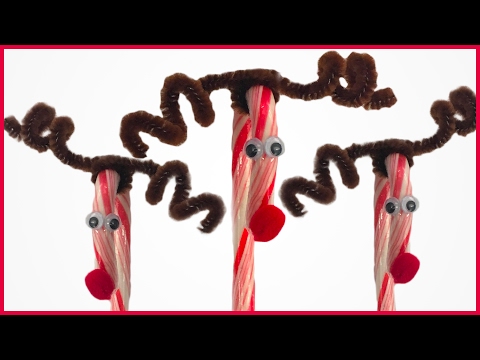 download lagu mp3 mp4 Cane Reindeer, download lagu Cane Reindeer gratis, unduh video klip Cane Reindeer