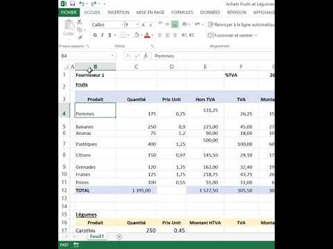 Excel Tuto 9 : Ajustement automatique de la taille des colonnes et des lignes
