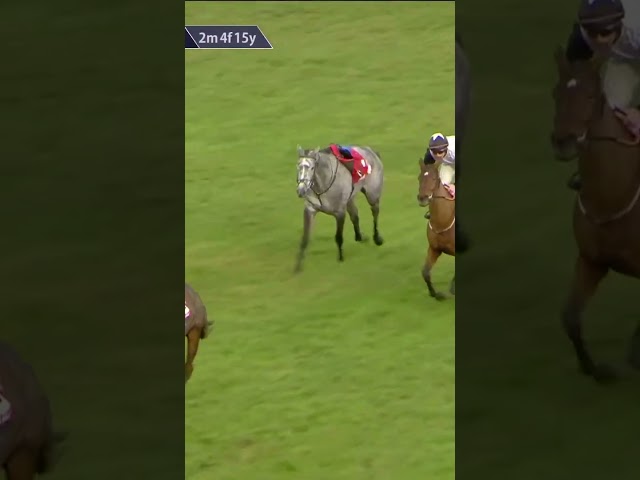 Thumbnail for Post ID: 5g3gmk8Z84I