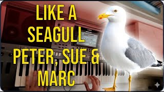 Like a seagull Peter, Sue &amp; Marc - Yamaha PSR S770