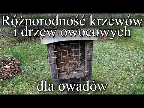 Różnorodność krzewów i drzew owocowych dla owadów - Ogrodowe pierdamony 177