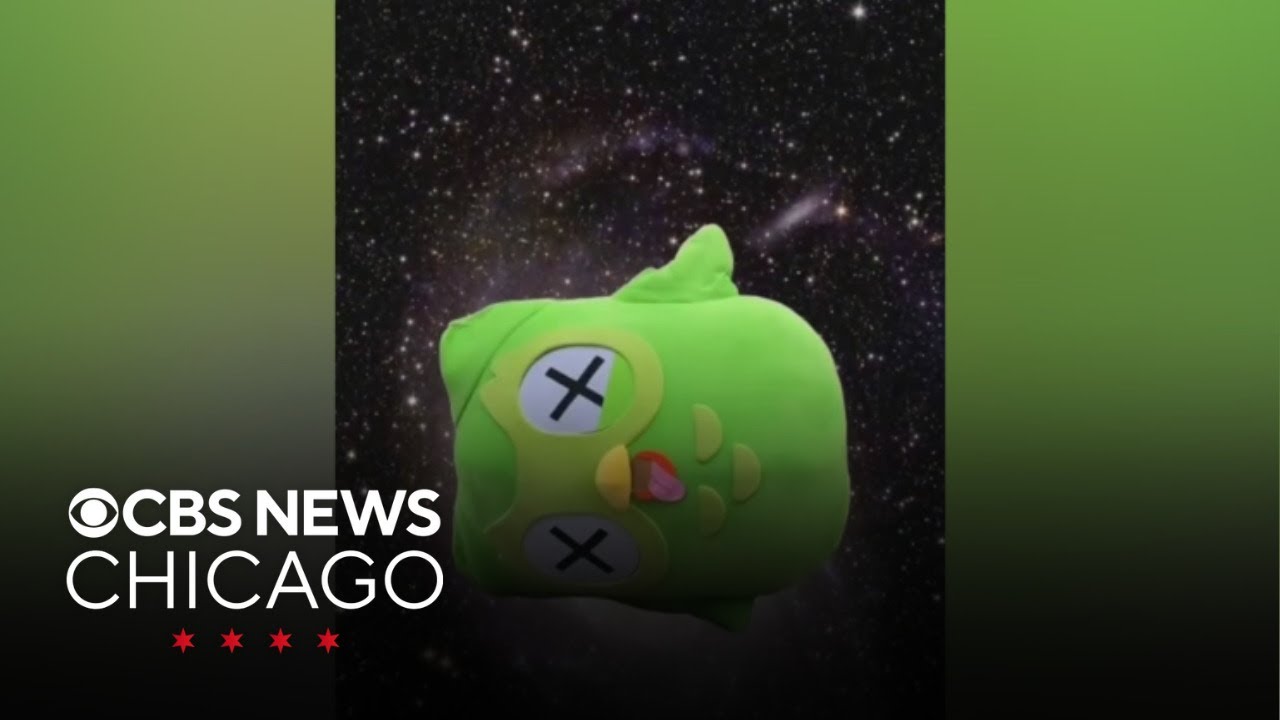 Death of Duolingo mascot Duo takes a new turn