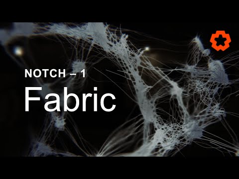 Fabric – Notch Tutorial 1