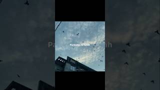 Download lagu Parindo ki tarah ye dil hai safar me ✨💗 | Song Lyrics | Whatsapp Status | #shortvideo mp3