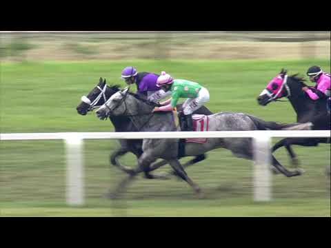 2019 Turf Monster Stakes, Pure Sensation