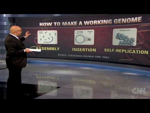 Artificial life Scientist: We didn't create life from scratch