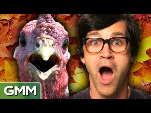 感謝祭について知らない7つのこと (7 Things You Don't Know About Thanksgiving)