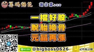 【大戶羅盤籌碼動能】 #謝宗霖1013，一檔好股 脫胎換骨 元晶再漲 (圖)