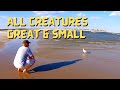 All Creatures Great And Small EP14