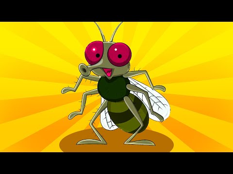 Cutie Foodie Fly | Kids Hits | Best Music for Children & Kid's Songs