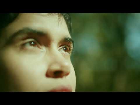 Amanda Magalhães - Coup de Foudre (à primeira vista)