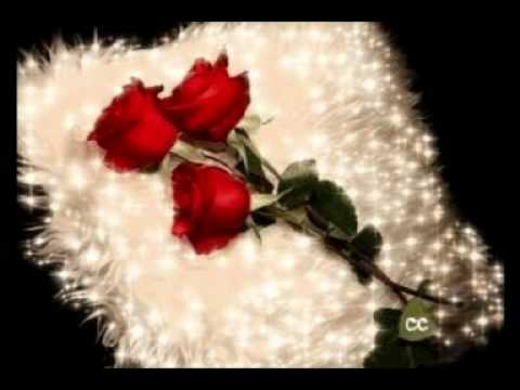 Sale Sasa Lakic   Zbog Sladjane