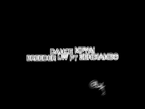 Breeder LW  - Dance mpyai lyrics FT Zendiambo (LYRICS VIDEO)