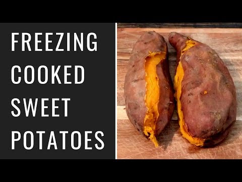 download lagu mp3 mp4 Can You Freeze Cooked Sweet Potatoes, download lagu Can You Freeze Cooked Sweet Potatoes gratis, unduh video klip Can You Freeze Cooked Sweet Potatoes