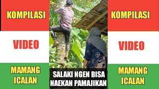 Download lagu Sunda kasar mamang icalan | salaki ngen bisa naekan pamajikan mp3