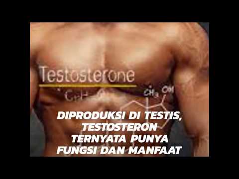 Berarti potensi yang sama Terong untuk potensi