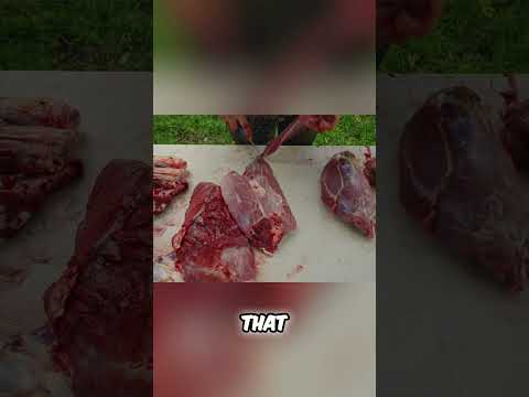 What do you do with your primal/cuts #hunting #butcher #deer #meat #meatlovers #meateater #hunter