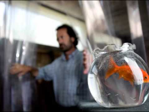 Basilicata coast coast e la Regione Basilicata