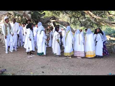 seb giberini samuel tesfu