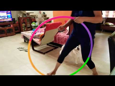 How to train your puppy jump through a hoop