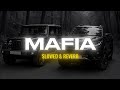 Mafia Slowed Reverb Bhartiya Radio Lofi Trending Song Hit Song Gangster Theme