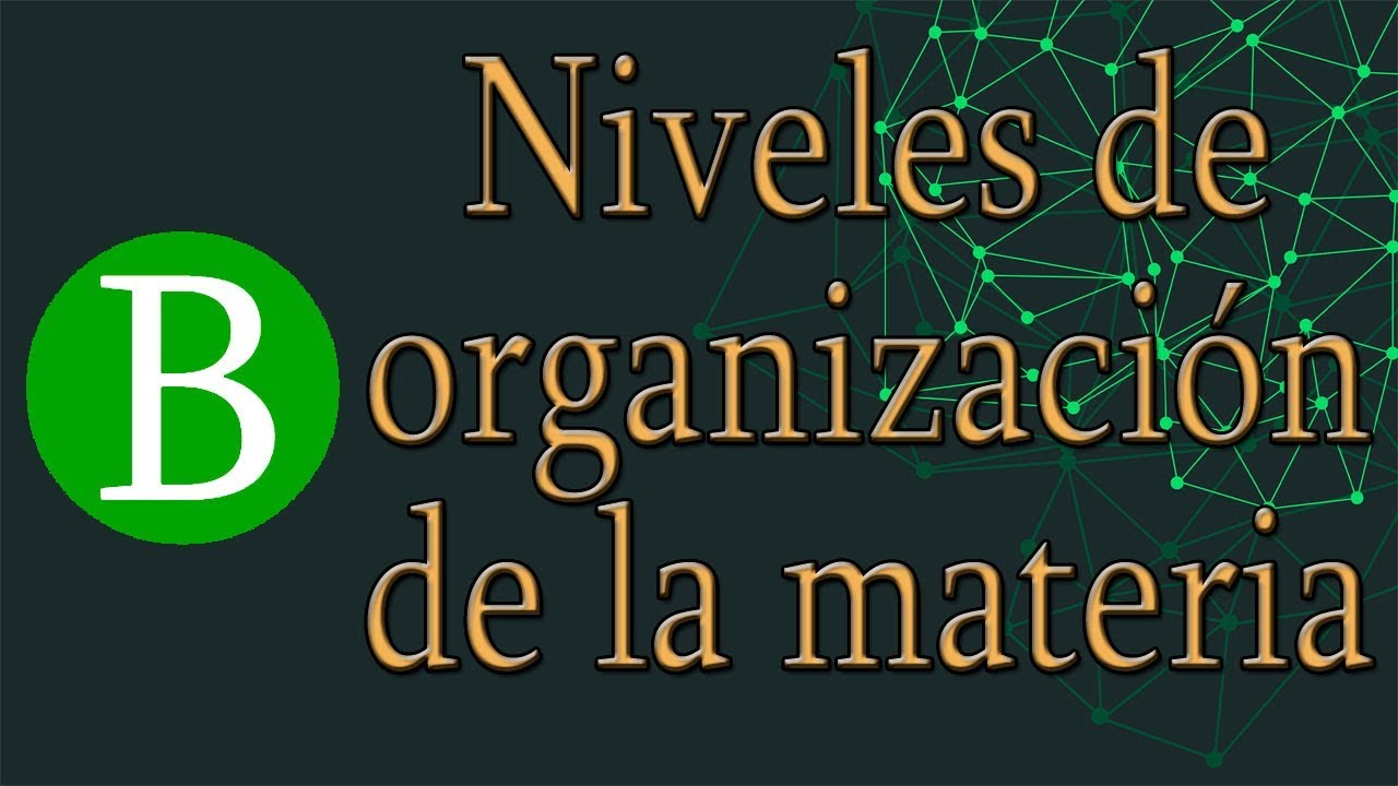 ¿Cuáles son los niveles de organización de la materia?
