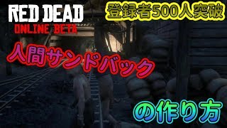 【RDO】人間サンドバックの作り方#74【RED DEAD REDEMPTION 2】