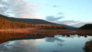 The Future Sound of London - Papua New Guinea [NuTone remix]