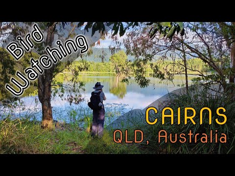 Bird Watching around Cairns, Australia