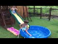 Best Water Fails 8 AFV Funniest Videos 2018
