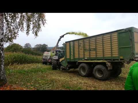 Mais Häckseln Wernitzgrün Mit LU Ritter