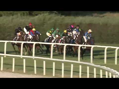 2023.07.02 11. FUTAM - TIPPMIX - MAGÁNYOS DÍJ (ELIT KAT.)