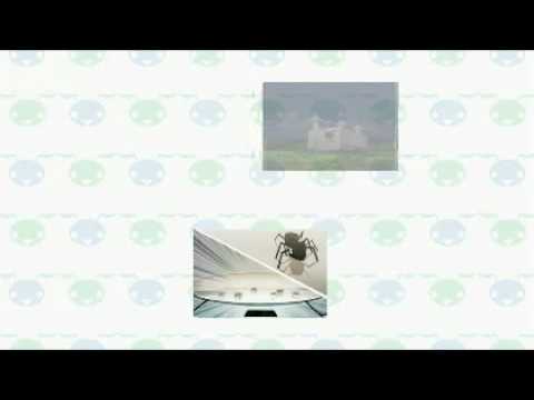 ant nation wii walkthrough