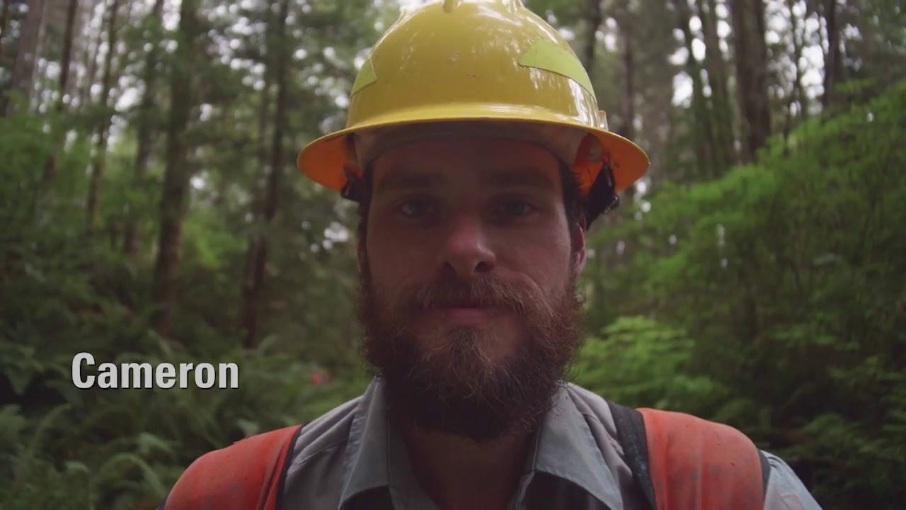 Redwoods Rising Apprentices