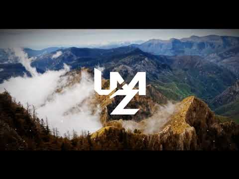 AL-X the Great - Perspectives