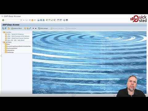 Quicksted - A01 ABAP-Einführung