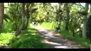 preview picture of video 'bali-bike-ride.flv'