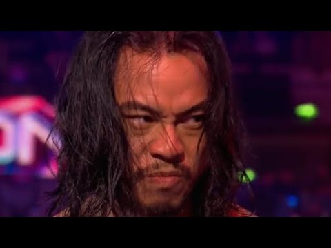 viper (mini wolf) rage compilation episodes 1 + 2 | gladiators | beca boop