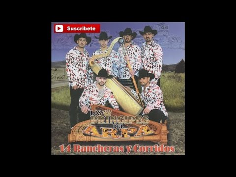 Los Principes del Arpa - 4 Camionetas