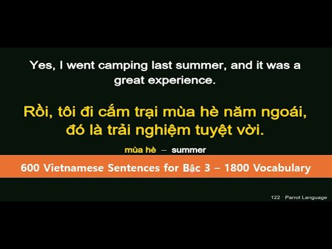 600 Vietnamese Sentences for Bậc 3 – 1800  Vocabulary  Intermediate Conversation | Parrot Language