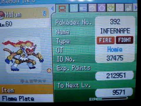 Was Ist Pokerus Was Ist Pokerus