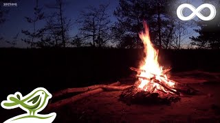 Relaxing Music &amp; Campfire • Relaxing Guitar Music, Soothing Music, Calm Music