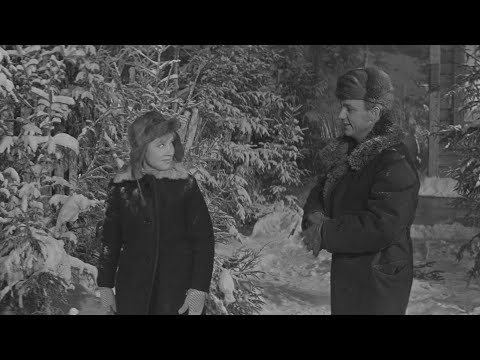 Старый клён - Девчата (1961) - HD