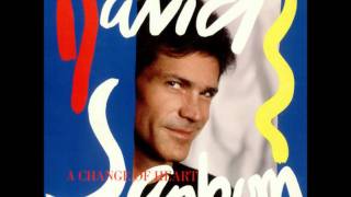 David Sanborn - Breaking Point.wmv