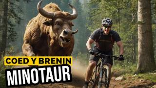 The Minotaur Trail at Coed Y Brenin