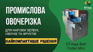 Máy cắt rau củ Нарізка зелені, овочів та фруктів STvega Belt Cutter Mini để bán - Hình ảnh 7 | Machineryline VN Máy cắt rau củ Нарізка зелені, овочів та фруктів STvega Belt Cutter Mini mới | Hình ảnh 7 - Machineryline