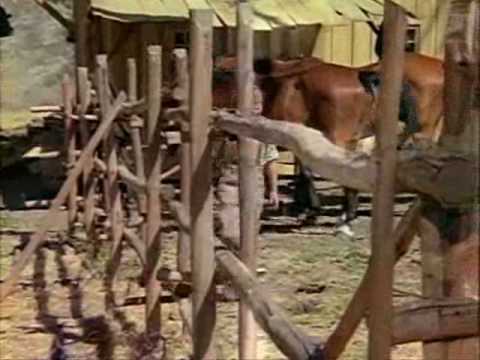 LHOP - 100 Mile Walk prt 5