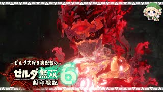 禁忌の力【ゼルダ無双 封印戦記 / 女性実況 / 実況動画】Part6