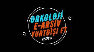 İHRACAT (YURTDIŞI) FATURASI KESME (E-Arşiv Portal) 4dk
